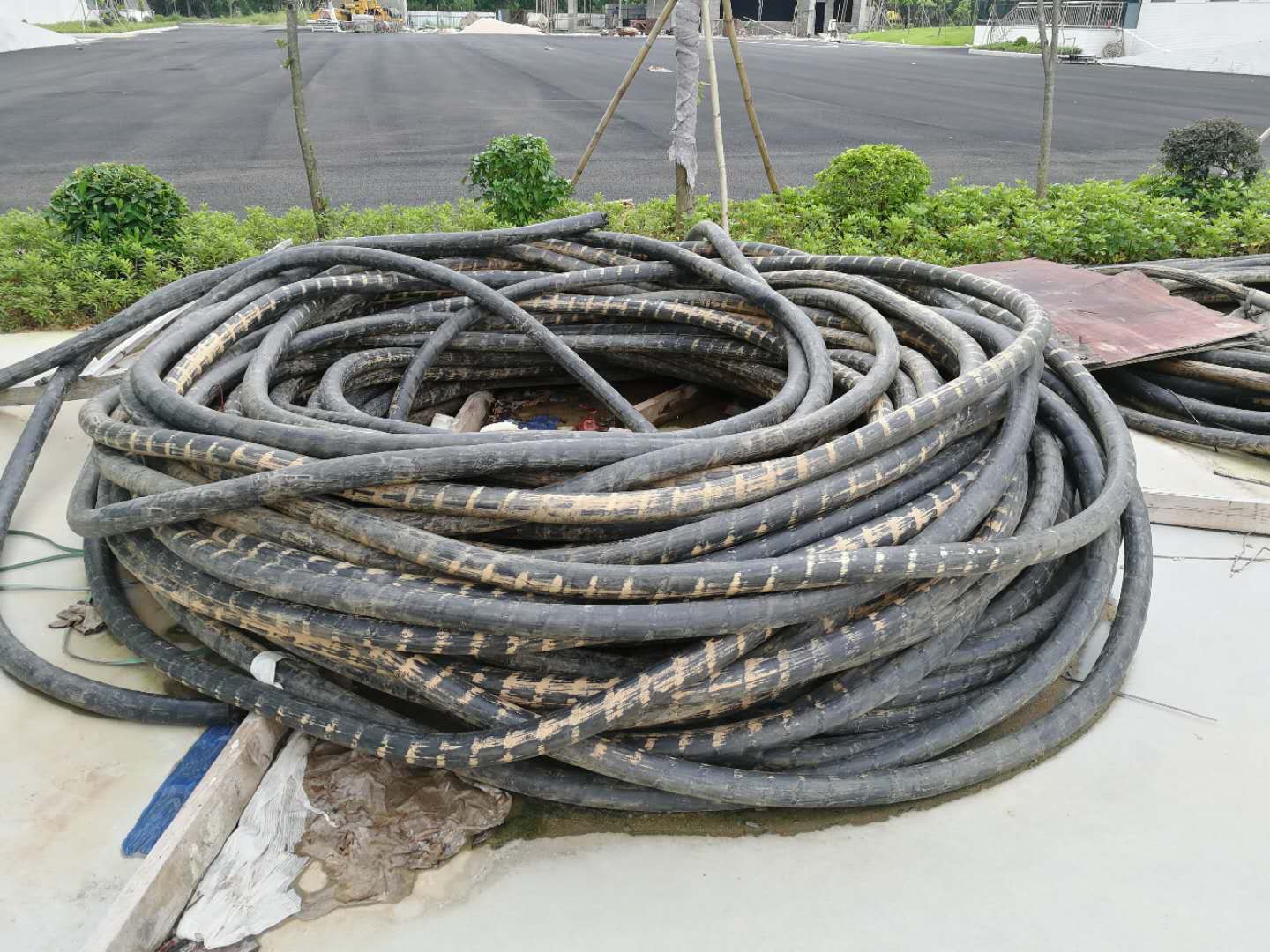 肇庆旧电缆回收